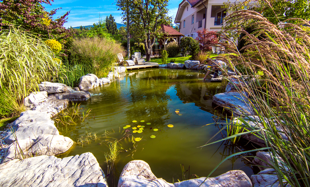 Pond in a beautiful creative lush green blooming garden